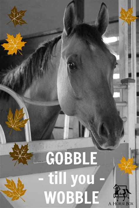 Horse Happy Thanksgiving - Design Corral