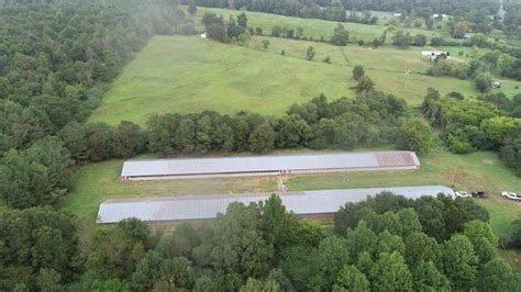 Blountsville Blount County Al Farms And Ranches Undeveloped Land For