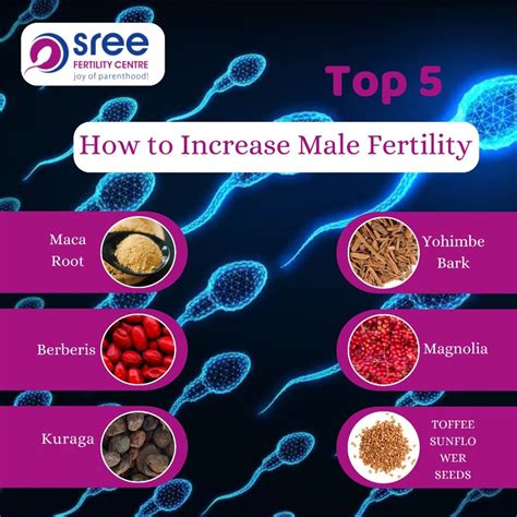 Learn Ways Of How To Increase Male Fertility In Varanasi Artofit