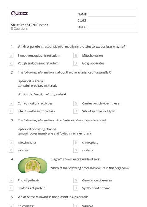 50 Chromosome Structure And Numbers Worksheets For 10th Year On