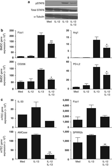 Interleukin Il Directly Antagonizes Il Induced Stat Signal