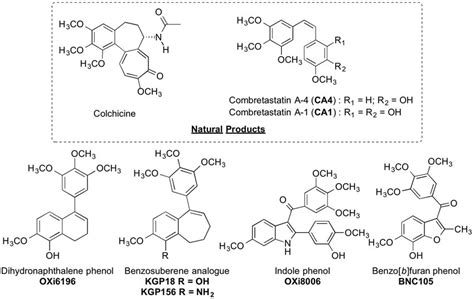 Representative small-molecule inhibitors of tubulin polymerization ...