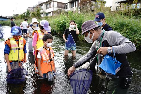 多文化共生推進プロジェクト：武蔵野美術大学 × 東久留米ほとけどじょうを守る会×多摩六都科学館「やさしい日本語で黒目川の魚を観察しよう」を開催しました