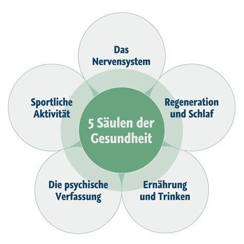 Die 5 Säulen der Gesundheit | Amerikanische Chiropraktik ...