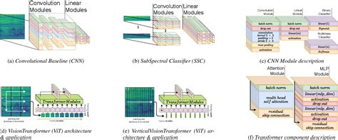 Visual Transformers for Primates Classification and Covid Detection: Paper and Code - CatalyzeX