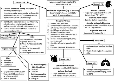 Cardiorenal Syndrome: Classification, Pathophysiology, Diagnosis, and ...