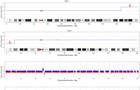 A Cnv Seq Analysis Of The Amniotic Fluid Cells Showing A Deletion At