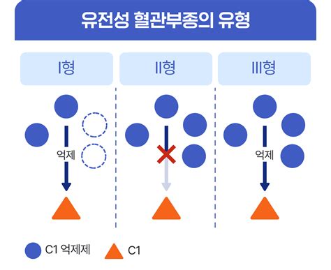 유전성 혈관부종 I Ii Iii형 진단하기 희귀질환 레어노트