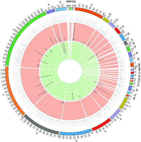 Circular Chromosome Distribution Of De Lncrnas The Outermost Circle