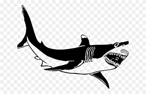 Great White Shark Clip Art - Great White Shark Clipart - FlyClipart