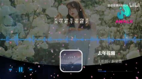 王忻辰 苏星婕 去年花开【动态歌词 Pinyin Lyrics 哔哩哔哩