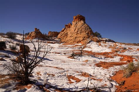 Cottonwood Cove At Coyote Buttes South Jaeger S Blog