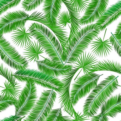 Tropical Palm Tree Seampless Pattern Stock Vector Illustration Of