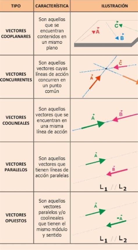 Realiza Un Cuadro De Resumen De Las Clases De Vectores Indicando Sus