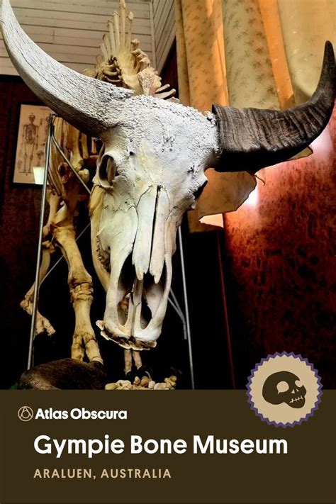 Gympie Bone Museum Australias First Bone Museum