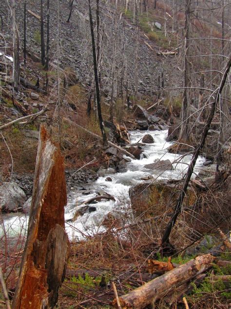 Chiwaukum Creek Washington Trails Association