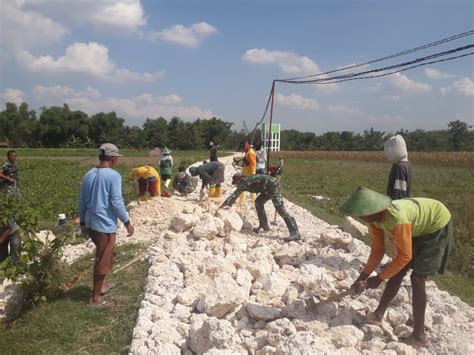 TMMD Tingkatkan Produksi Pertanian Di Desa Sempu Kodim 0721 Blora