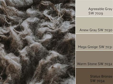 Agreeable Gray Color Review Simple Yet Awesome By Laura Rugh Rugh