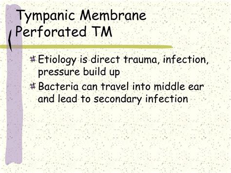 Perforated Tympanic Membrane Treatment