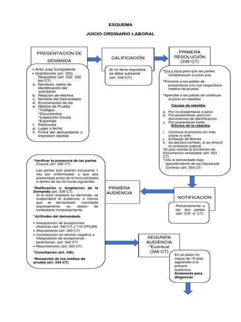 Esquema Juicio Ordinario Laboral Docx Gobierno Política