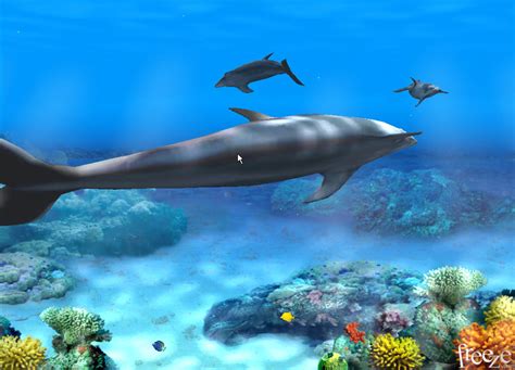 Free Animated Dolphin Screensavers Wallpaper - WallpaperSafari