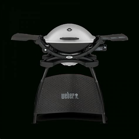 Weber Q Gasgrill Mit Stand Q Serie Gasgrills Von Weber Q