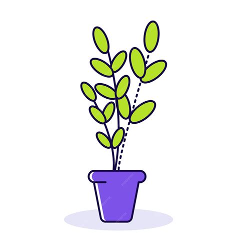 Premium Vector Potted Plant With Green Leaves In A Purple Pot Simple