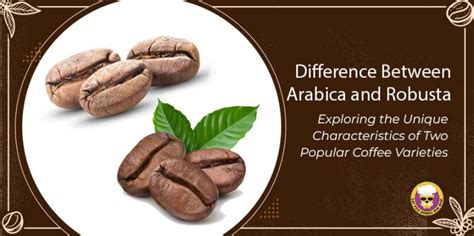 Difference Between Arabica And Robusta Exploring The Unique