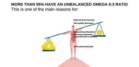 What Is Omega 6 To Omega 3 Ratio Omega Balance 63