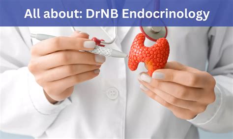 Drnb Endocrinology Admissions Medical Colleges Fees Eligibility