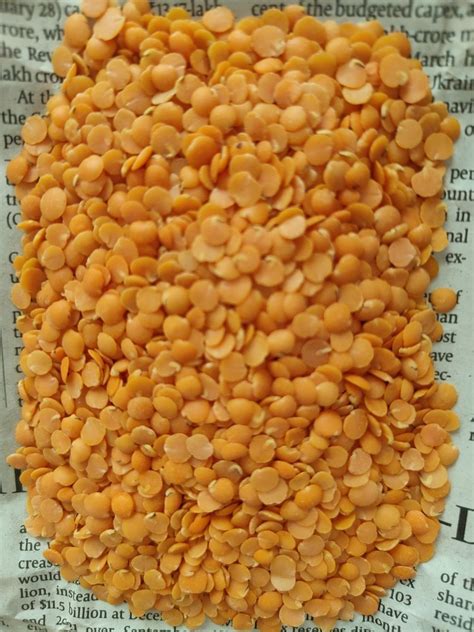 Red Masoor Dal High In Protein Packaging Size Kg At Rs Kg In