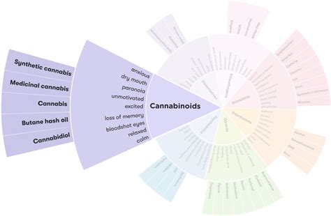 Cannabinoids Alcohol And Drug Foundation