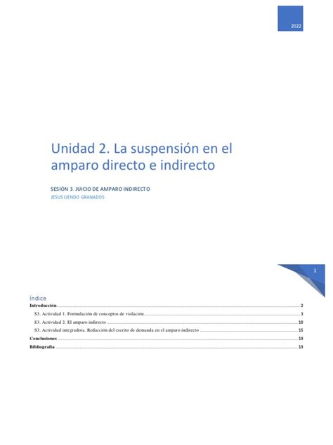 Unidad 2 La Suspensión En El Amparo Directo E Indirecto Pdf Derechos Humanos Ley Procesal