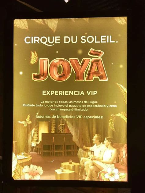 Honest Joya Cirque du Soleil Review 2024: Is It Worth It?