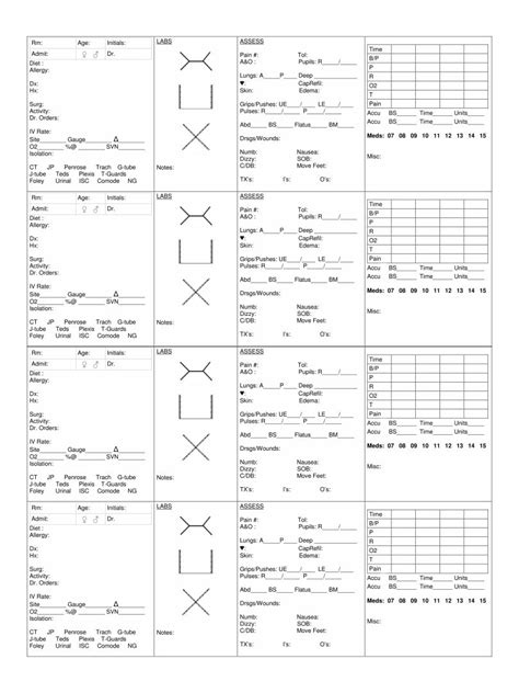 Printable Nurse Brain Sheet Patients