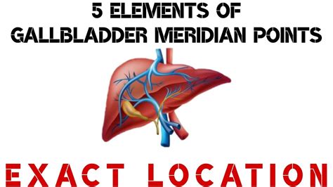 5 Elements Of Gallbladder Meridian Points I Exact Location Youtube