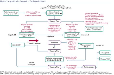 Algorithm for Support in Cardiogenic Shock | Radcliffe Cardiology