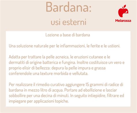 Bardana proprietà benefici usi posologia controindicazioni