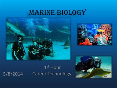 Ppt Marine Biology Powerpoint Presentation Free Download Id2230658