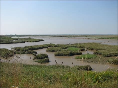 The Naze Salt Marshes So Typical Of The Essex Coast Besid Flickr