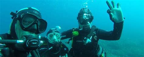 Cursos Buceo Padi En Madrid Y Calpe Atención Personalizada