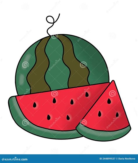 Watermelon And Watermelon Slices Stock Illustration Illustration Of