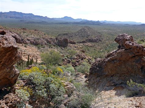 Rocky Ravine Pinkley Peak Organ Pipe Cactus National Monument Arizona