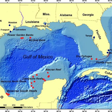 Cape Coral Gulf Of Mexico Hot Sex Picture