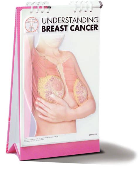 Understanding Breast Cancer Flip Book Bsi Catalog