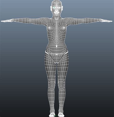 Nude Female And Male 3D Model 23 Ma Obj Free3D
