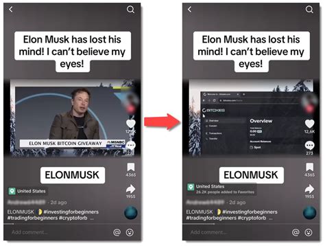 TikTok Flooded By Elon Musk Cryptocurrency Giveaway Scams Gridinsoft Blog