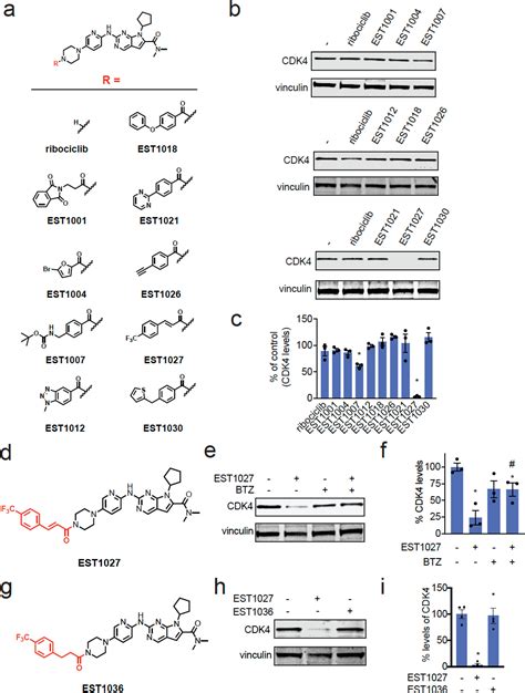 Rational Chemical Design Of Molecular Glue Degraders Acs Central Science