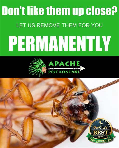 How to get rid of Roaches and pests in Weston - Apache Pest Control