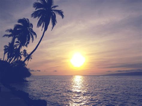 Free picture: sunset, sun, beach, dawn, ocean, water, tropical island, sky